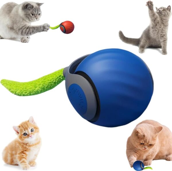 2025 New Generation Interactive Cat Toy