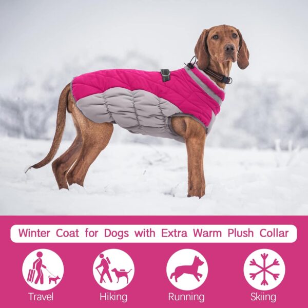FUAMEY Dog Coat,Warm Dog Jacket - Image 3