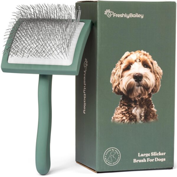 Best Slicker Brush for Dogs